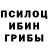 Псилоцибиновые грибы MAGIC MUSHROOMS Hicham Triki