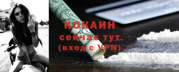мдпв Инта