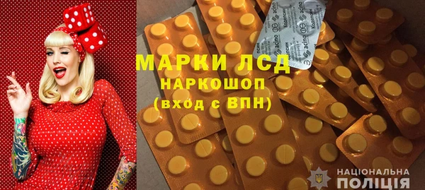 мдпв Инта
