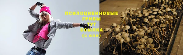 a pvp Каменногорск