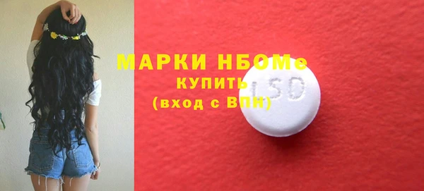 мдпв Инта
