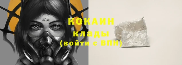a pvp Каменногорск