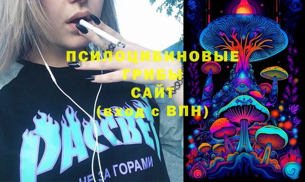 COCAINE Инсар