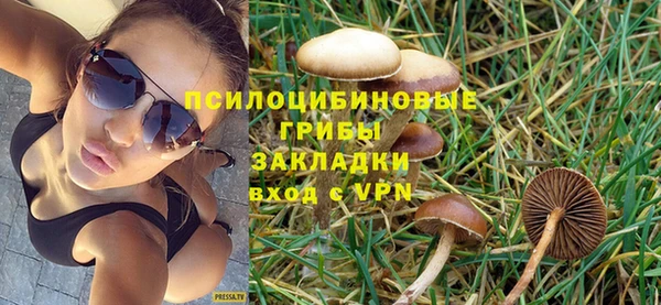 a pvp Каменногорск