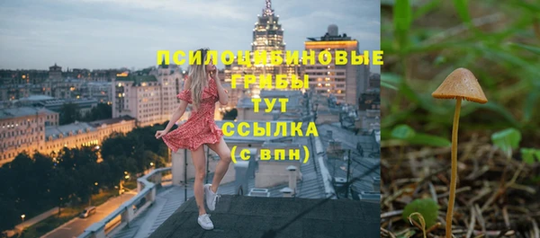 a pvp Иннополис
