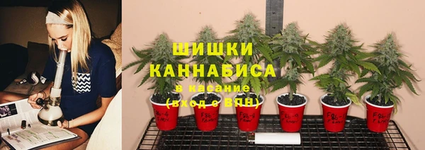 ALPHA PVP Каменка