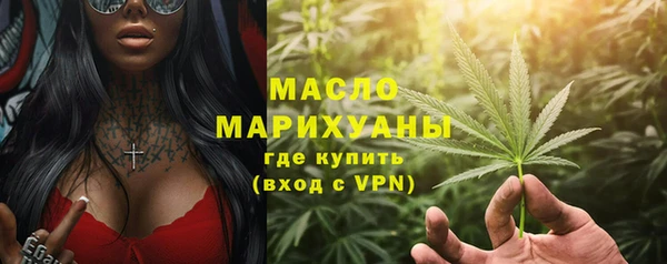 мдпв Инта